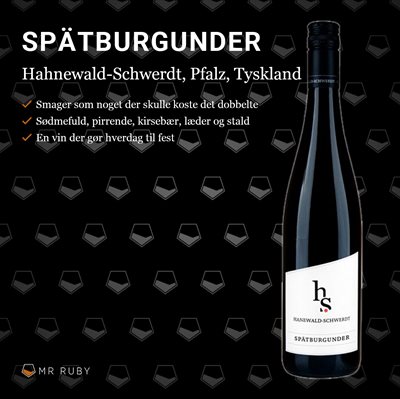 2017 Spätburgunder, MAGNUM, Hanewald-Schwerdt, Pfalz, Tyskland